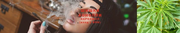 амф Богородск