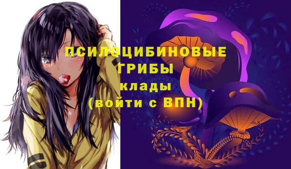 амф Богородск