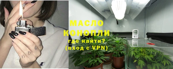 амф Богородск